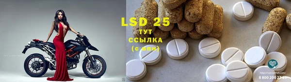 сатива Вязьма