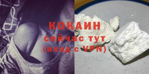 сатива Вязьма