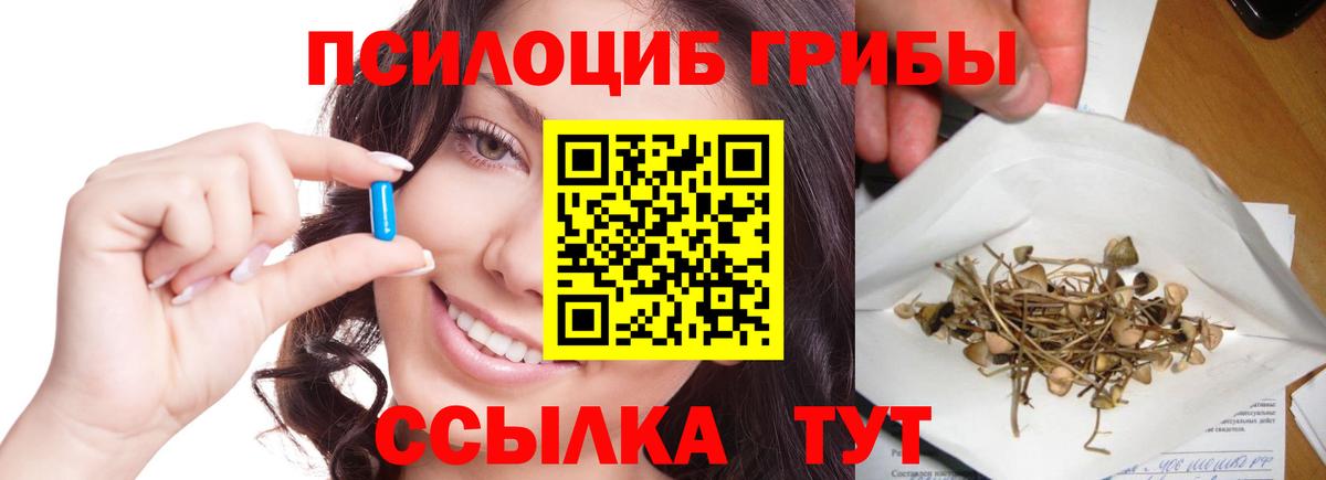 Псилоцибиновые грибы Psilocybine cubensis Гагарин